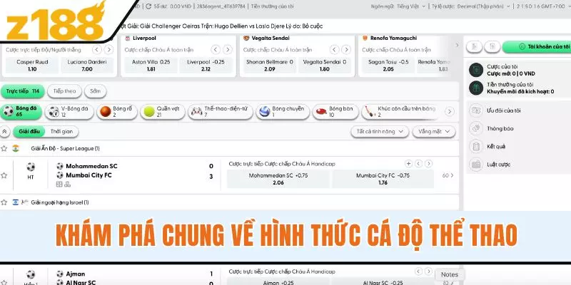 Khám phá chung về hình thức cá độ thể thao