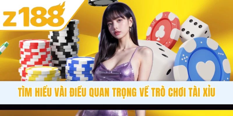 Tìm hiểu vài điều quan trọng về trò chơi Tài Xỉu
